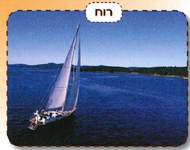 (בספר איור:)